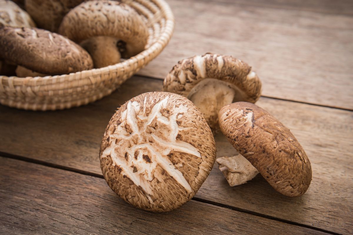 Jamur untuk Diet: Alternatif Sehat Rendah Kalori
